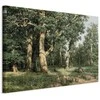 Artgeist Paveikslas - Oak Forest
