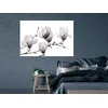 Artgeist Paveikslas - Painted Magnolias (1 Part) Wide