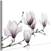 Artgeist Paveikslas - Painted Magnolias (1 Part) Wide