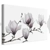 Artgeist Paveikslas - Painted Magnolias (1 Part) Wide