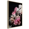 Artgeist Paveikslas - Peony Charm (1-part) - Colorful Bouquet on Juodas Background