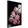 Artgeist Paveikslas - Peony Charm (1-part) - Colorful Bouquet on Juodas Background