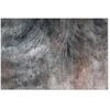 Artgeist Paveikslas - Pilkas Feather (1 Part) Wide