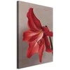 Artgeist Paveikslas - Raudona Flower (1 Part) Vertical