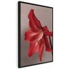 Artgeist Paveikslas - Raudona Flower (1 Part) Vertical