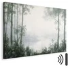 Artgeist Paveikslas - Retro Landscape Grove Trees and Pond in Patinated Shades of Žalias