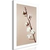 Artgeist Paveikslas - Softness of Cotton (1 Part) Vertical