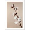 Artgeist Paveikslas - Softness of Cotton (1 Part) Vertical