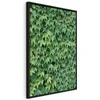 Artgeist Paveikslas - Thick Ivy (1 Part) Vertical