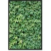 Artgeist Paveikslas - Thick Ivy (1 Part) Vertical