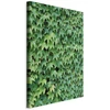 Artgeist Paveikslas - Thick Ivy (1 Part) Vertical