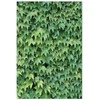 Artgeist Paveikslas - Thick Ivy (1 Part) Vertical