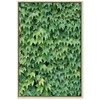 Artgeist Paveikslas - Thick Ivy (1 Part) Vertical
