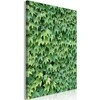 Artgeist Paveikslas - Thick Ivy (1 Part) Vertical