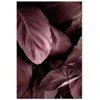 Artgeist Paveikslas - Velvet Leaves (1 Part) Vertical
