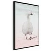 Artgeist Paveikslas - Winter Duck (1 Part) Vertical