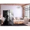 Artgeist Pertvara - Clouds Like a Dream: Let the Sun Illuminate Your Day – A Visual Feast