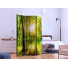 Artgeist Pertvara - Forest Rays