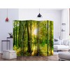 Artgeist Pertvara - Forest Rays II