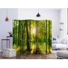 Artgeist Pertvara - Forest Rays II