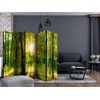 Artgeist Pertvara - Forest Rays II