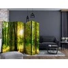 Artgeist Pertvara - Forest Rays II