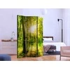 Artgeist Pertvara - Forest Rays