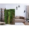 Artgeist Pertvara - Ivy wall