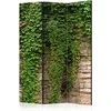 Artgeist Pertvara - Ivy wall