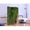 Artgeist Pertvara - Ivy wall