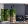 Artgeist Pertvara - Ivy wall II