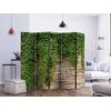Artgeist Pertvara - Ivy wall II