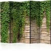 Artgeist Pertvara - Ivy wall II