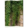 Artgeist Pertvara - Ivy wall