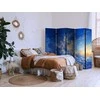 Artgeist Pertvara - When the Sky Becomes a Canvas: Artistic Work of Nature in the Clouds