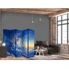 Artgeist Pertvara - When the Sky Becomes a Canvas: Artistic Work of Nature in the Clouds
