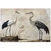 Artgeist Plakatas - Birds from an Old Engraving - vintage-style illustration of a heron and a crane
