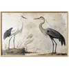 Artgeist Plakatas - Birds from an Old Engraving - vintage-style illustration of a heron and a crane