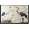 Artgeist Plakatas - Birds from an Old Engraving - vintage-style illustration of a heron and a crane