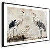 Artgeist Plakatas - Birds from an Old Engraving - vintage-style illustration of a heron and a crane