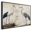 Artgeist Plakatas - Birds from an Old Engraving - vintage-style illustration of a heron and a crane