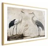 Artgeist Plakatas - Birds from an Old Engraving - vintage-style illustration of a heron and a crane