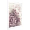 Artgeist Plakatas - Delicate Peonies