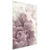 Artgeist Plakatas - Delicate Peonies