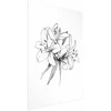 Artgeist Plakatas - Drawn Flowers