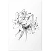 Artgeist Plakatas - Drawn Flowers