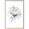 Artgeist Plakatas - Drawn Flowers