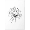 Artgeist Plakatas - Drawn Flowers