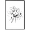 Artgeist Plakatas - Drawn Flowers