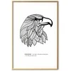 Artgeist Plakatas - Eagle of Freedom